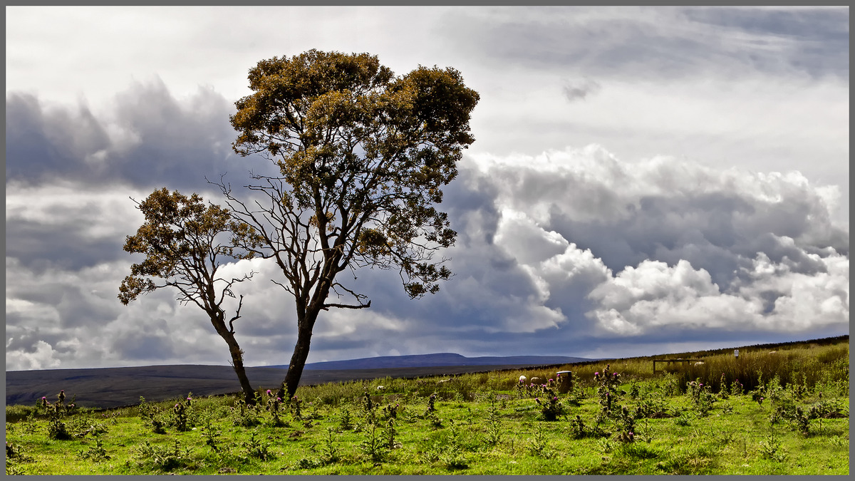 3rd. - Richard Green